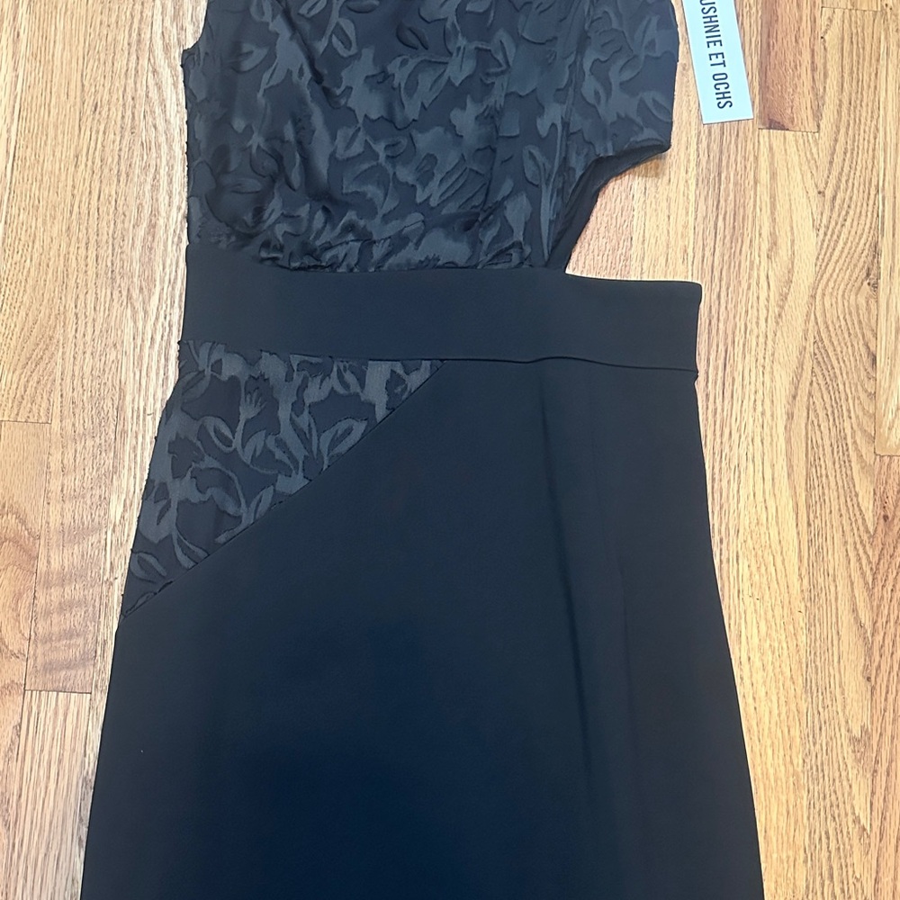 Cushnie Et Ochs Elegant Black Sleeveless Dress - Picture 3 of 7